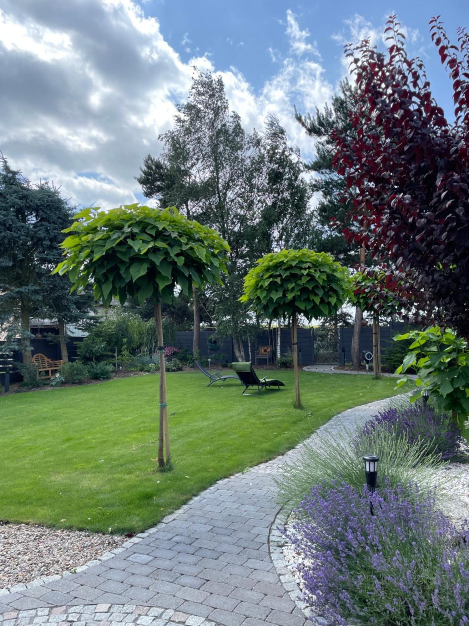 Hortus Apartament Z Klimatyzacja Boleslawiec  Eksteriør billede