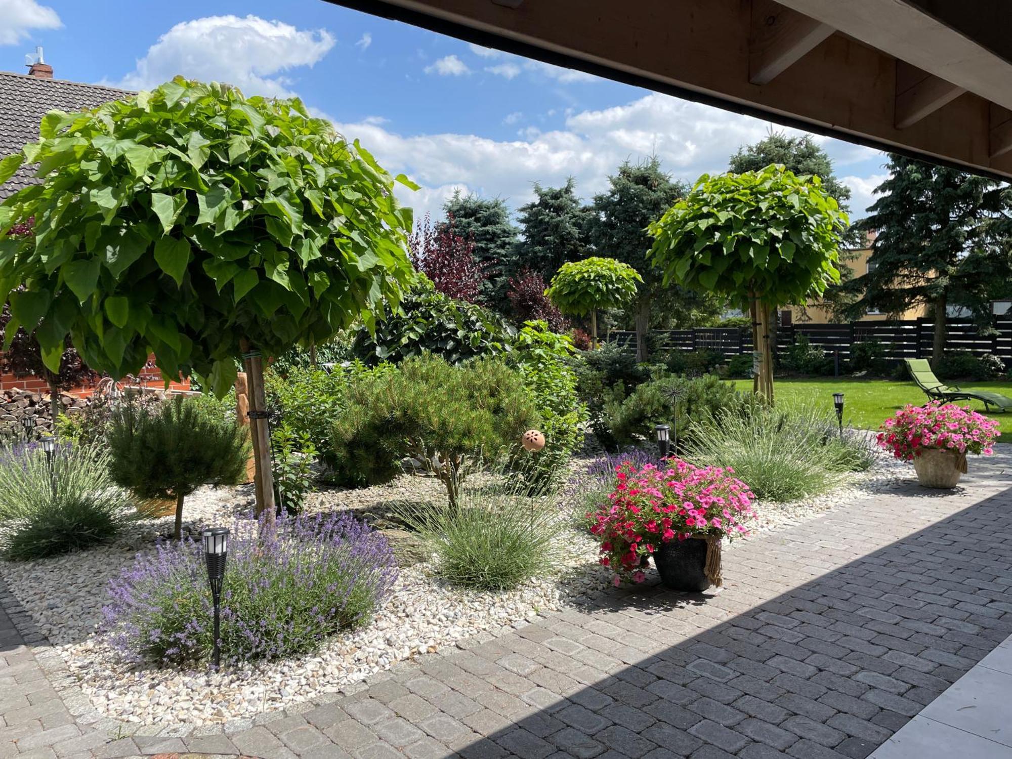 Hortus Apartament Z Klimatyzacja Boleslawiec  Eksteriør billede