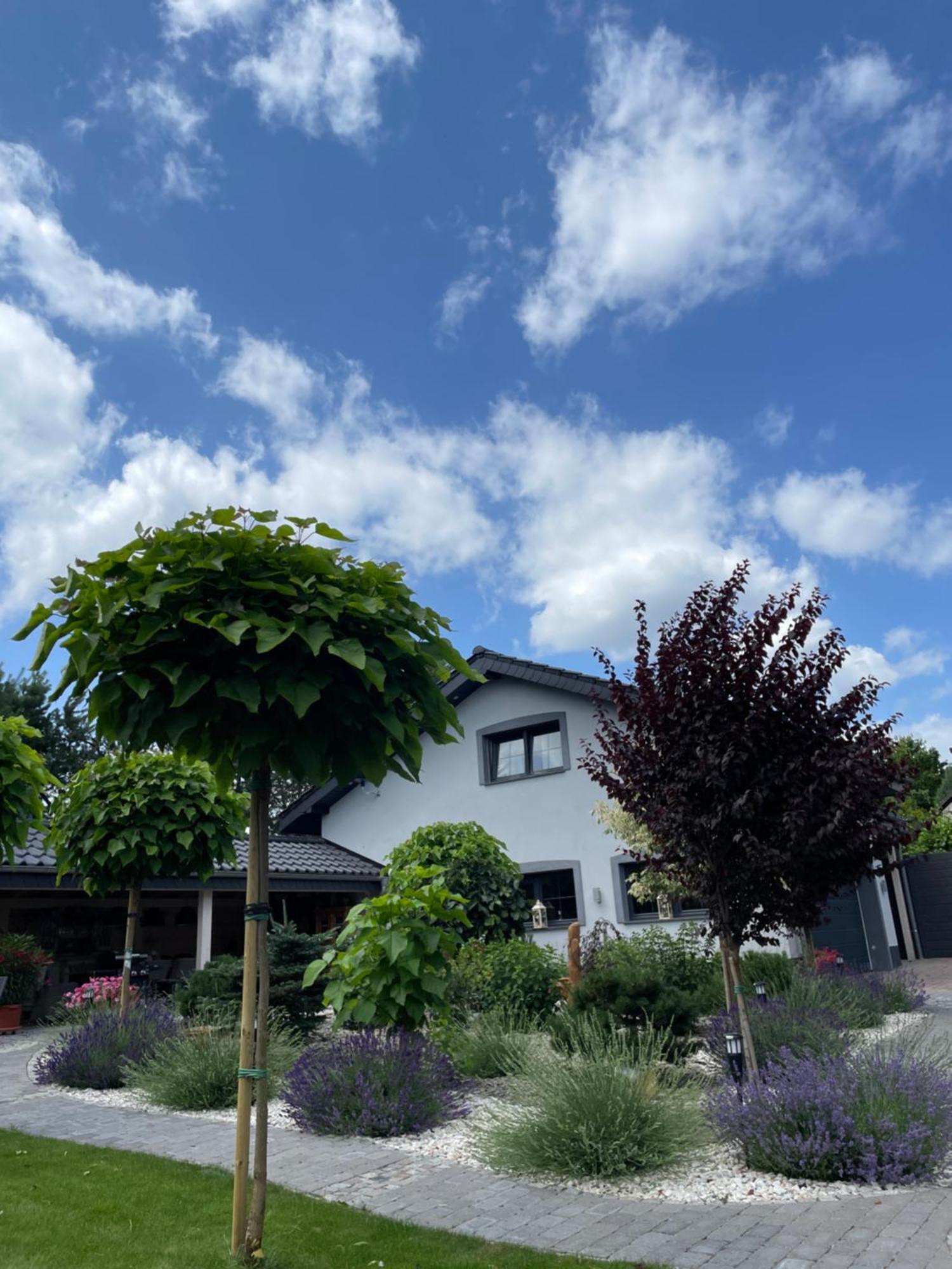 Hortus Apartament Z Klimatyzacja Boleslawiec  Eksteriør billede